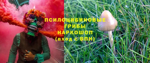 амф Арсеньев