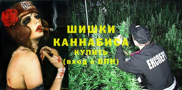 амф Арсеньев
