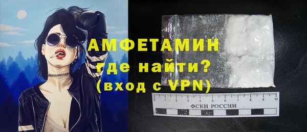 гидра Богородицк