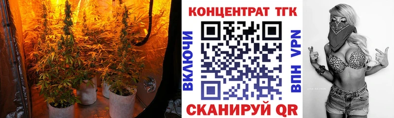 ТГК Wax  Армавир 