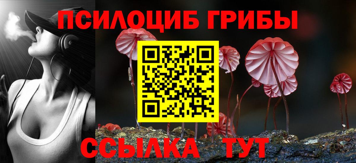 Галлюциногенные грибы прущие грибы  Галлюциногенные грибы Magic Shrooms  Вход с VPN  Армавир 